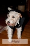 067